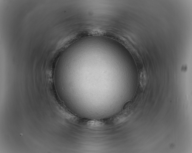 X0000090980714200708161856