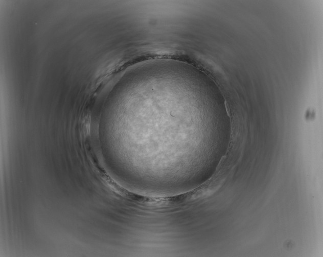 X0000090980720200708161856