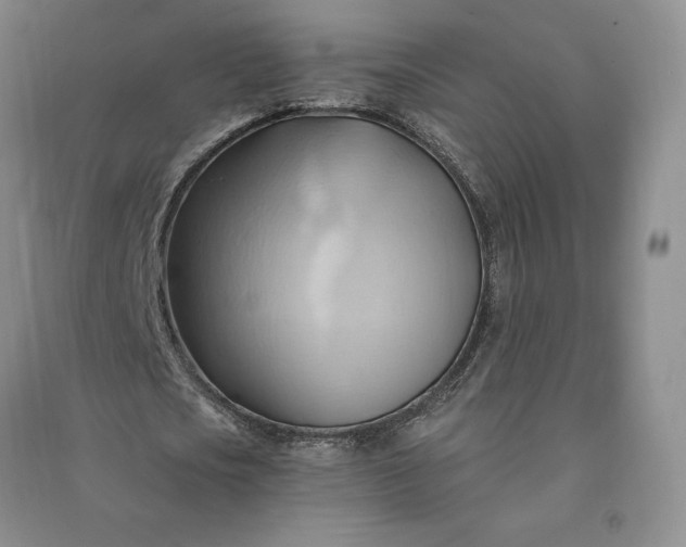 X0000090980721200708161855