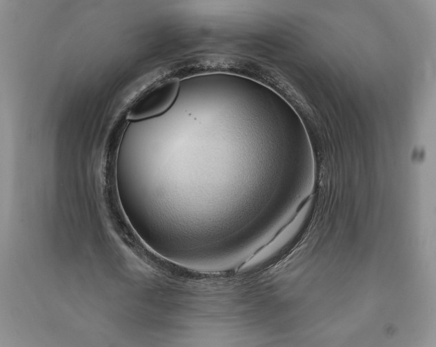 X0000090980722200708161855