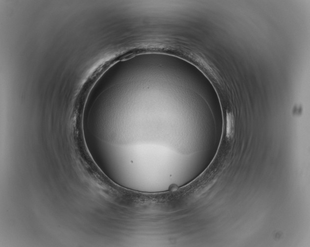 X0000090980723200708161855