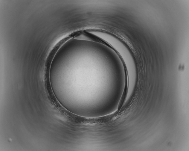 X0000090980724200708161855