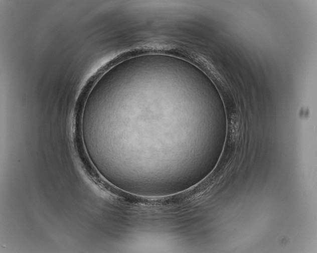 X0000090980726200708161855