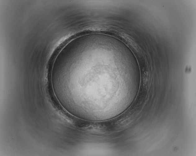 X0000090980727200708161855