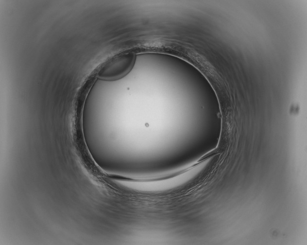 X0000090980728200708161856