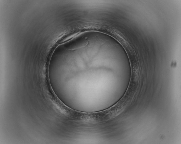 X0000090980729200708161856