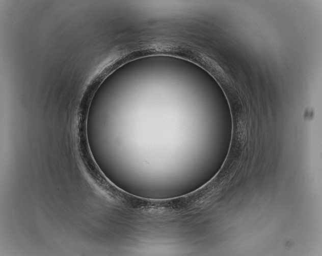 X0000090980730200708161856