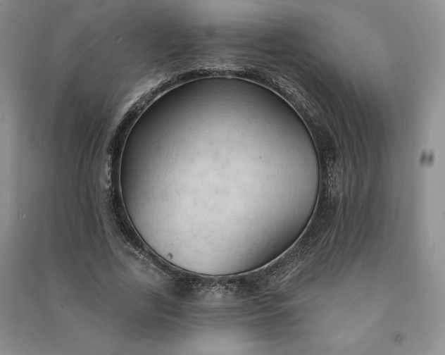 X0000090980731200708161856