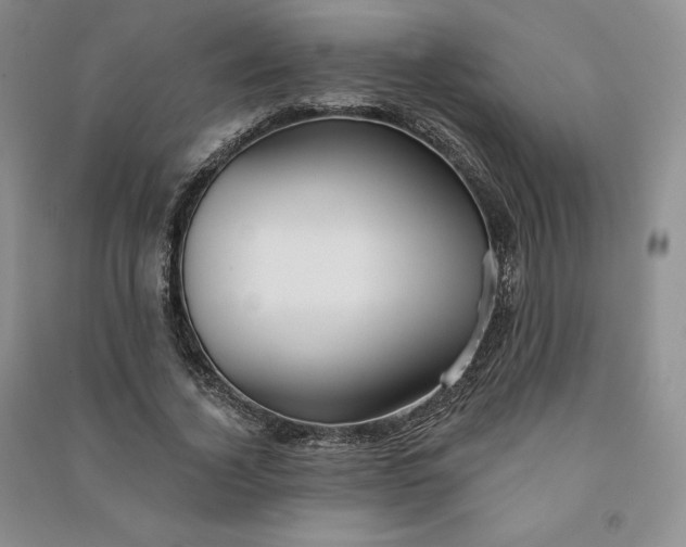 X0000090980732200708161856