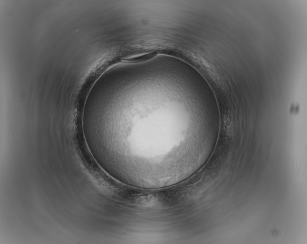 X0000090980735200708161856