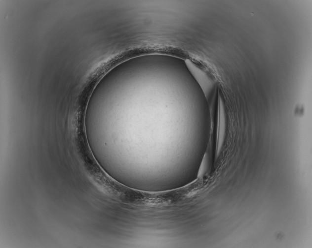 X0000090980736200708161856