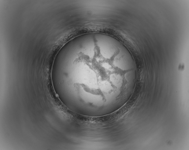 X0000090980737200708161856