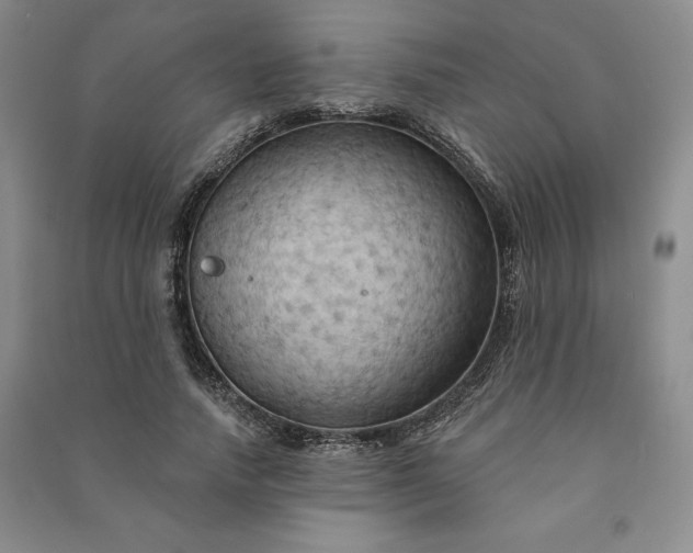 X0000090980738200708161856