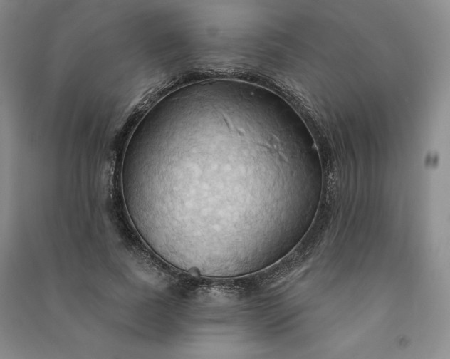 X0000090980739200708161856