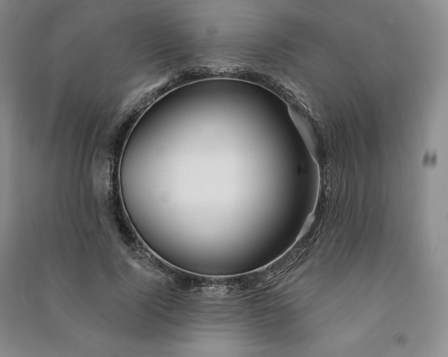 X0000090980740200708161856