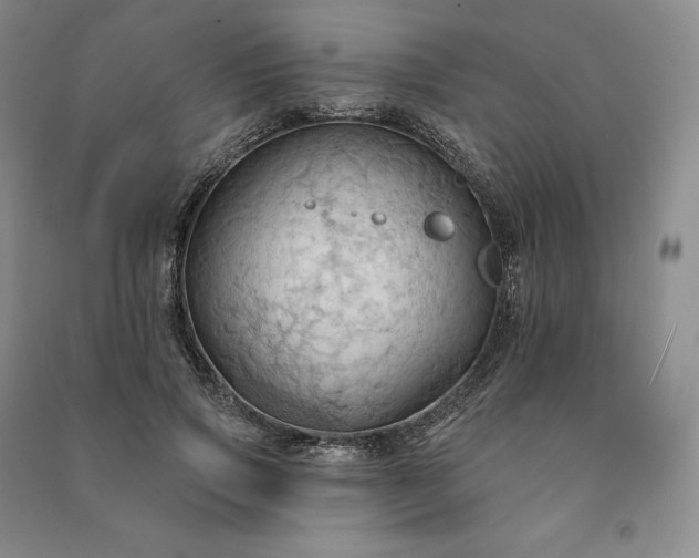 X0000090980741200708161856