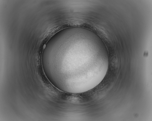 X0000090980743200708161856