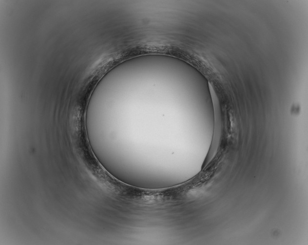 X0000090980744200708161856