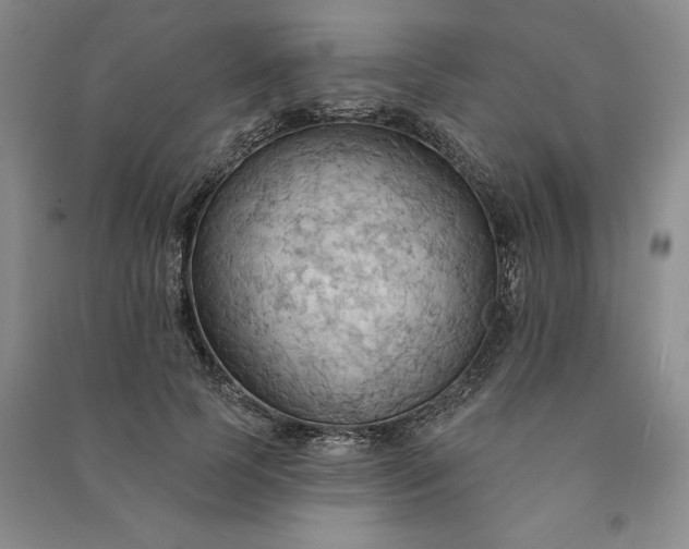 X0000090980745200708161856