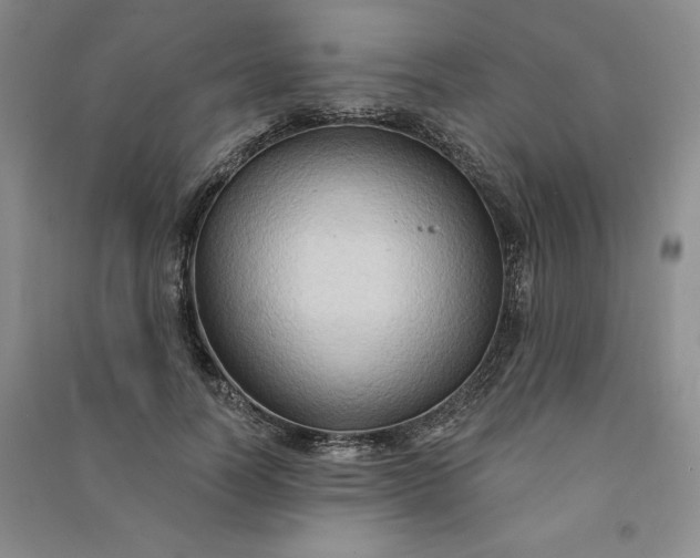 X0000090980746200708161856