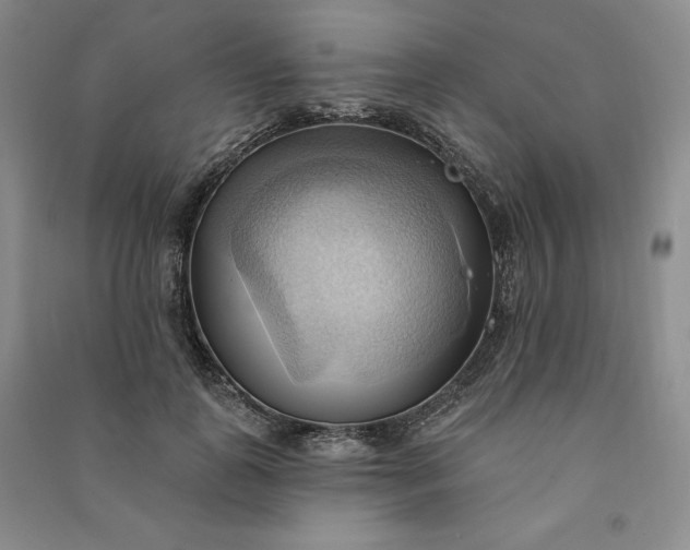 X0000090980747200708161856