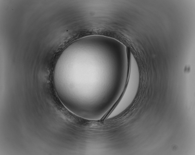X0000090980750200708161856