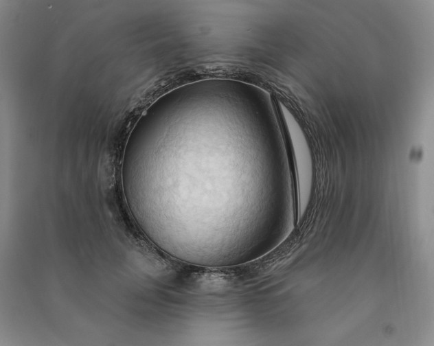 X0000090980751200708161856