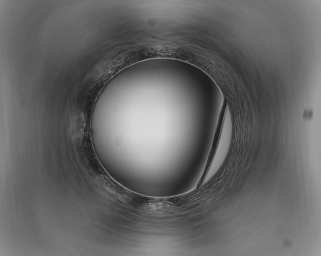 X0000090980752200708161856