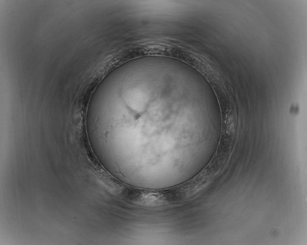 X0000090980753200708161856