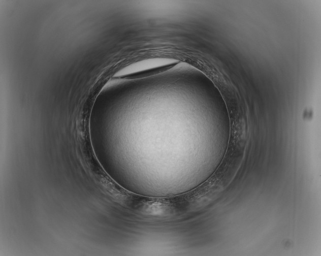 X0000090980755200708161856