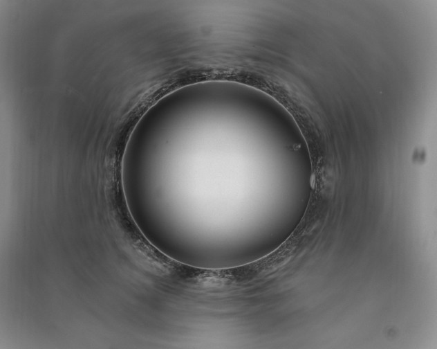 X0000090980756200708161856