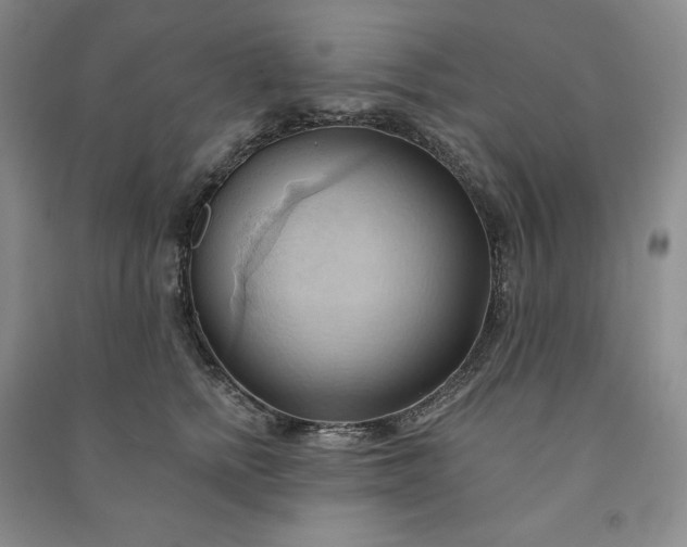 X0000090980758200708161856