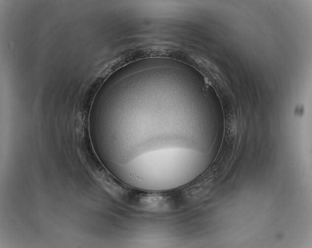 X0000090980759200708161856