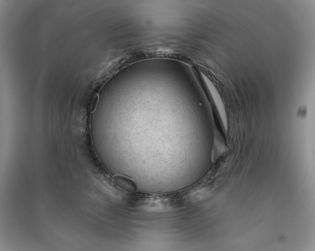 X0000090980760200708161856