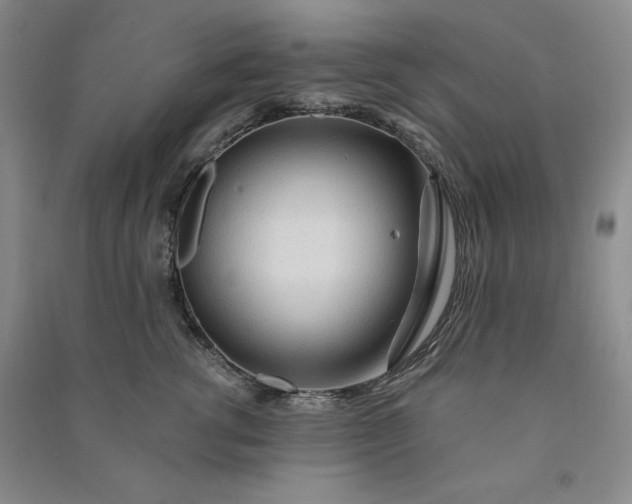 X0000090980762200708161856