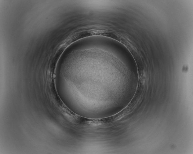X0000090980763200708161856