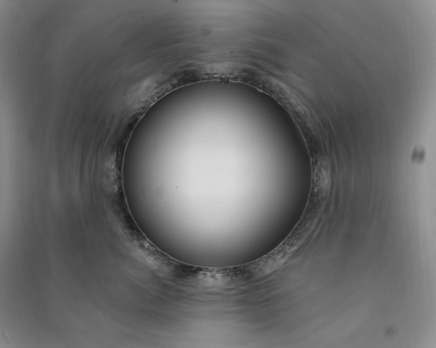 X0000090980764200708161856