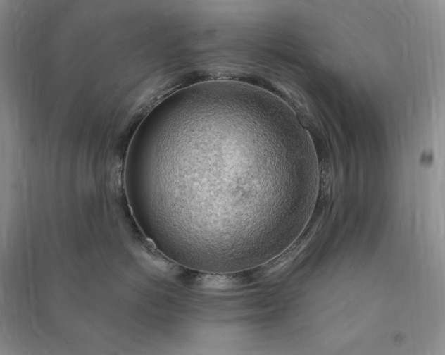 X0000090980766200708161856