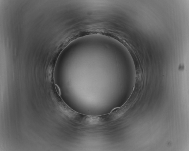 X0000090980767200708161856