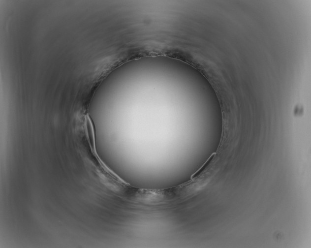 X0000090980768200708161856