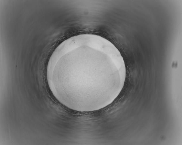 X0000090980769200708161855