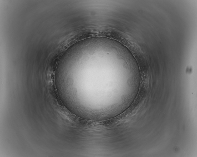 X0000090980770200708161855