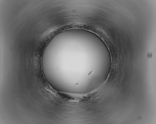 X0000090980773200708161855