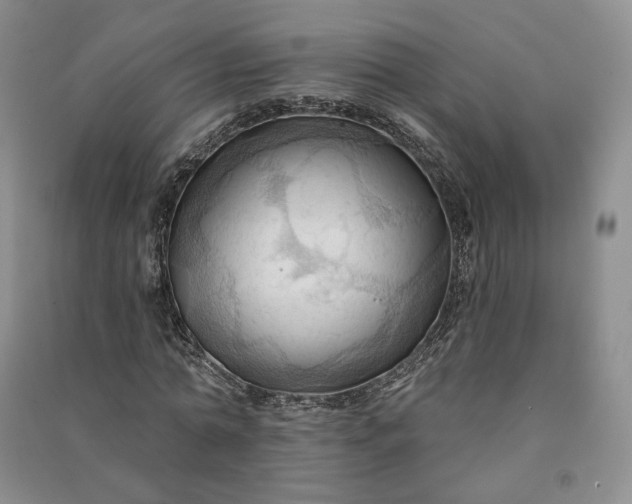 X0000090980774200708161855