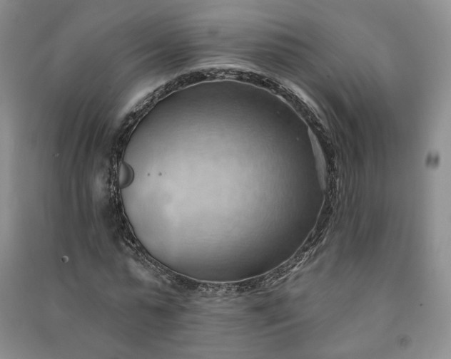 X0000090980775200708161855