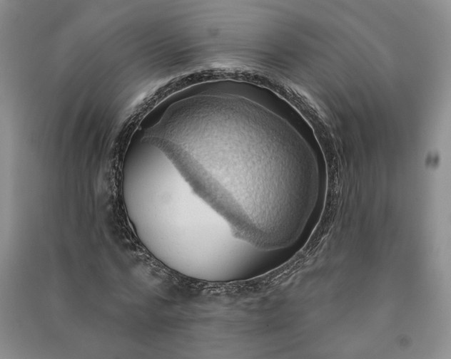 X0000090980776200708161855