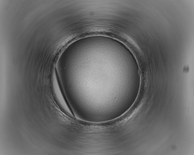X0000090980777200708161855