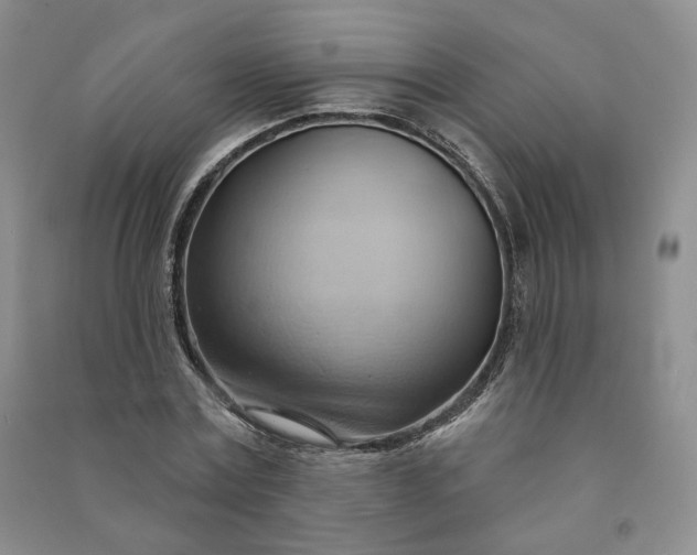 X0000090980779200708161855