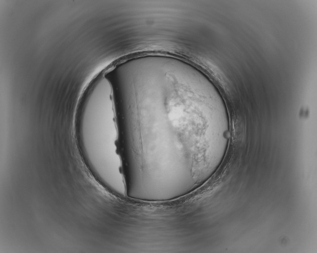 X0000090980780200708161855