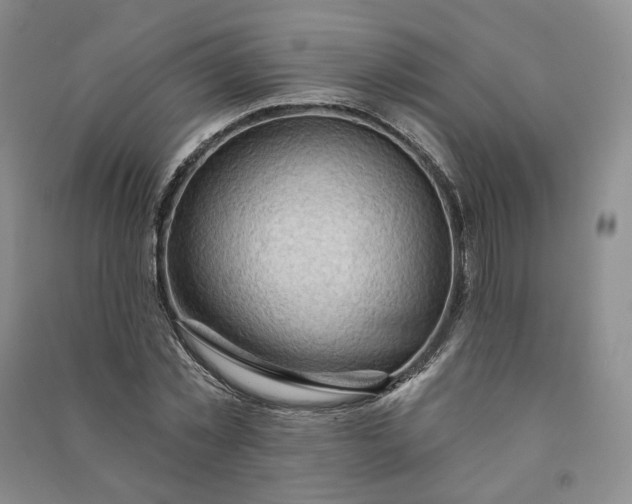 X0000090980781200708161855